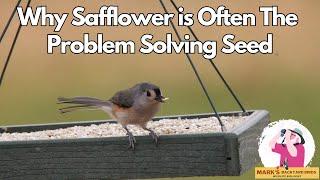 Safflower the SECRET Problem Solving Seed You Never Knew About