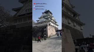 Osaka Castle: From War to Wonder, Must-See Landmark in Japan
