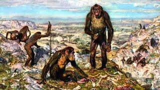 Australopithecus - Ancient Animal