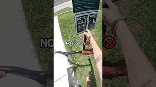 No Scooters Allowed! Roman Dellapena #shorts #shortvideo #fyp #reels #scooter #tricks #skatepark