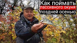 Как поймать пассивного окуня поздней осенью на спиннинг? Микро и наноджиг в ноябре с Nano One