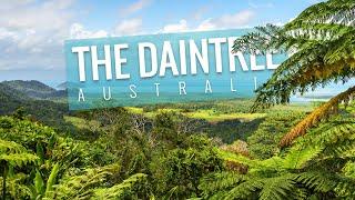 DAINTREE RAINFOREST, North Queensland - 4K | Australian Travel Guide