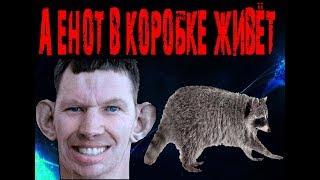 ГЛАД ВАЛАКАС "А ЕНОТ В КОРОБКЕ ЖИВЁТ!"