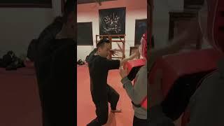 詠春肘興膝合Wing Chun #kungfu #chinesemartialarts #martialarts #功夫 #詠春拳