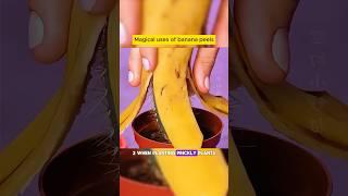 Magical uses of banana peels ￼