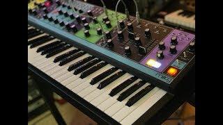 Moog Matriarch - 15 Minutes of Analog Synth experimentation (No talking)