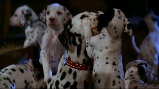 Rescuing abducted Dalmatian puppies (1/2) - 101 Dalmatians Movie Scene