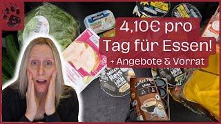 SPAREN günstiger Wocheneinkauf  DAS hätte ich NICHT gedacht!  #foodhaul #budgetplanung #geld #vlog