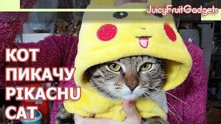 Кот Пикачу | Pikachu Cat | Настоящий Покемон | Real Pokemon