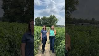  Hear from our Georgia #experts. Protect your crops today with AgBiome fungicides.