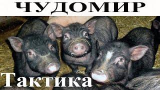 ЧУДОМИР: Тактика.