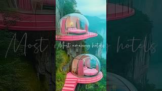 Bubble adventure #hotel #miracle #amazing #viralvideo