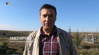 Поздравление с Днем защитника Украины-2019 | Павел Королев