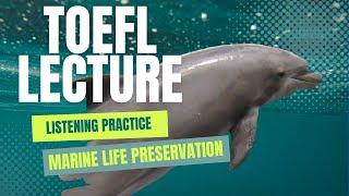 TOEFL Listening Lecture - Marine life preservation