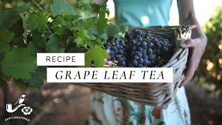 Making Grape Leaf Tea