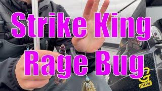 The Strike King Rage Bug | Jig Trailer? Or Texas Rig?