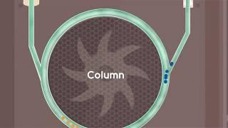 Gas Chromatography