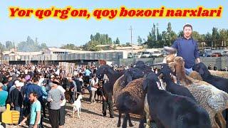 Uychi Yorqo'rg'on qoʻy bozori narxlari  kanalga obuna boling #qoy #bozor #narxlari