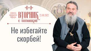 О чём стоит по-настоящему радоваться. Вторник с Батюшкой. Беседа с о. Андреем Лемешонком 23.08.2022