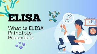 What is ELISA? It's Principle and Procedure | Biotech Decoder (Urdu/Hindi)