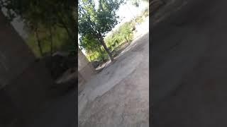 Еріккен қатын