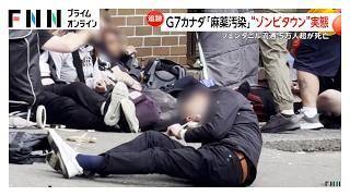 カナダが「麻薬汚染」で“ゾンビタウン”化…フェンタニル流通で5万人超死亡　“麻薬”を合法的に摂取可能な施設も