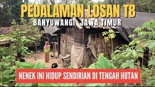 KAMPUNG PEDALAMAN LOSAN TB I KEHIDUPAN  DI PEDESAAN TENGAH HUTAN PERHUTANI