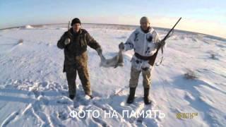 ▶Это просто чудо! ОХОТА! Тропим зайца по следам. ЗИМНЯЯ ОХОТА НА ЗАЙЦА ИЖ-12 Hare Hunting