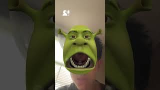 Shrek filter