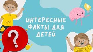 ИНТЕРЕСНЫЙ ФАКТЫ ДЛЯ ДЕТЕЙ ВИДЕО ДЛЯ ДЕТЕЙ| Развивающий мультфильм для детей