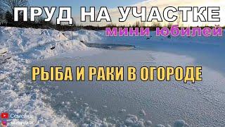 Обзор нашего пруда на участке, планы. Юбилей канала: подписчики, аналитика/Рыба и раки в своём пруду