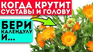 Неожиданный эффект календулы удивил даже врачей! Мигом отвалились грибок, гастрит, артрит и даже...