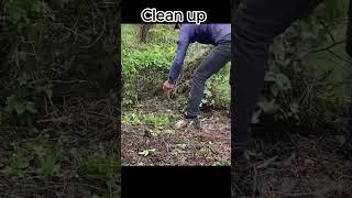 cut down trees on the roof #cuttingdown #cleanup#cuttingroof,