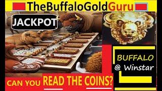 HOW TO TURN $25 FREE PLAY into a BUFFALO GOLD JACKPOT!!