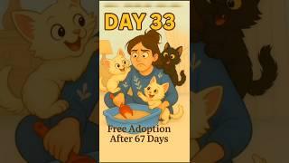 DAY-33new born kittensFree ADOPTION after 100 days.. read full description. #newbornkitten