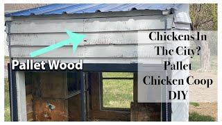 Chickens In The City DIY Pallet Chicken Coop City Homesteading