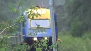 XPT Southbound at Bonville Creek May 2013