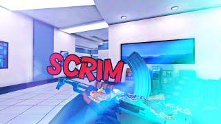 Critical ops || скpим с iFreaZZe || SCRIM WITH iFreaZZe