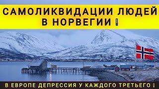 В ЕВРОПЕ ДЕПРЕССИЯ ДАЖЕ У СОБАК  СЕРАЯ БЕСПЕРСПЕКТИВНАЯ ЖИЗНЬ 