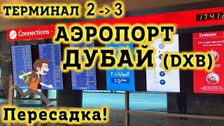 Аэропорт Дубай DXB. СЛОЖНАЯ Пересадка Терминал 3 в Терминал 2 Аэропорта Дубай. Как не заблудиться?