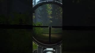 Tarkov needs to change this