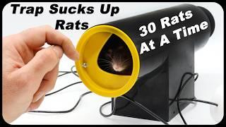 Huge RATS Sucked Up With New Rat Vac Trap - 30 Rats At A Time! Amazing New Trap. Mousetrap Monday.