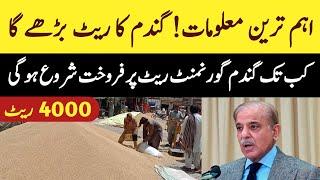 Today wheat rate in pakistan 2024