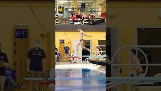 Todd | 5134D Diving 1m Springboard Final #diving #shorts