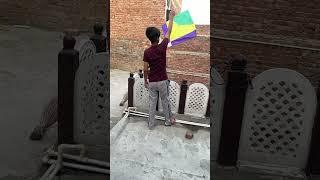 1 tawa kite  #shortvideo #viral #trending #basant #flyingbigkites