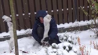 Укрытие растений.