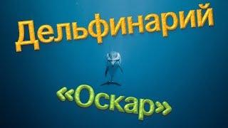 Дельфинарий "Оскар"  ПОЛНОЕ ПРЕДСТАВЛЕНИЕ  Красивейшее шоу дельфинов 