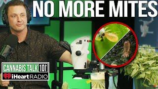 Buggin’ Out with Andrew Maltby of Biotactics! I Cannabis Talk 101