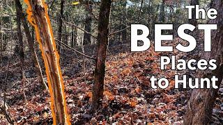 How To Identify The Best Deer Hunting Spots