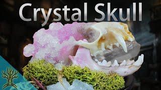 Grow Crystals on ANYTHING